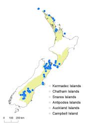 Pellaea calidirupium distribution map based on databased records at AK, CHR & WELT.
 Image: K.Boardman © Landcare Research 2020 CC BY 4.0